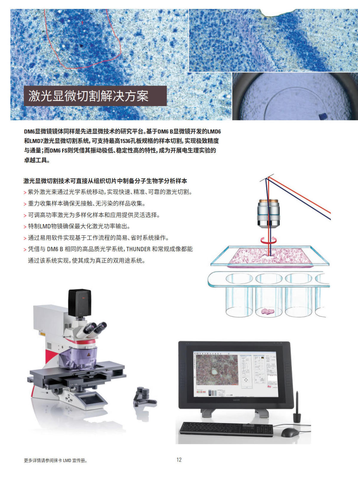 徕卡正置电动荧光显微镜 DM4B DM6B系列