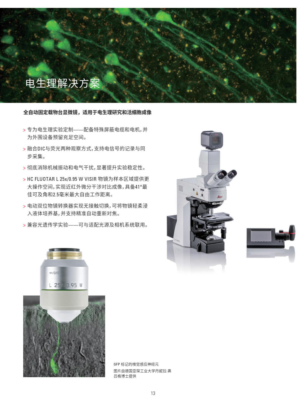 徕卡正置电动荧光显微镜 DM4B DM6B系列