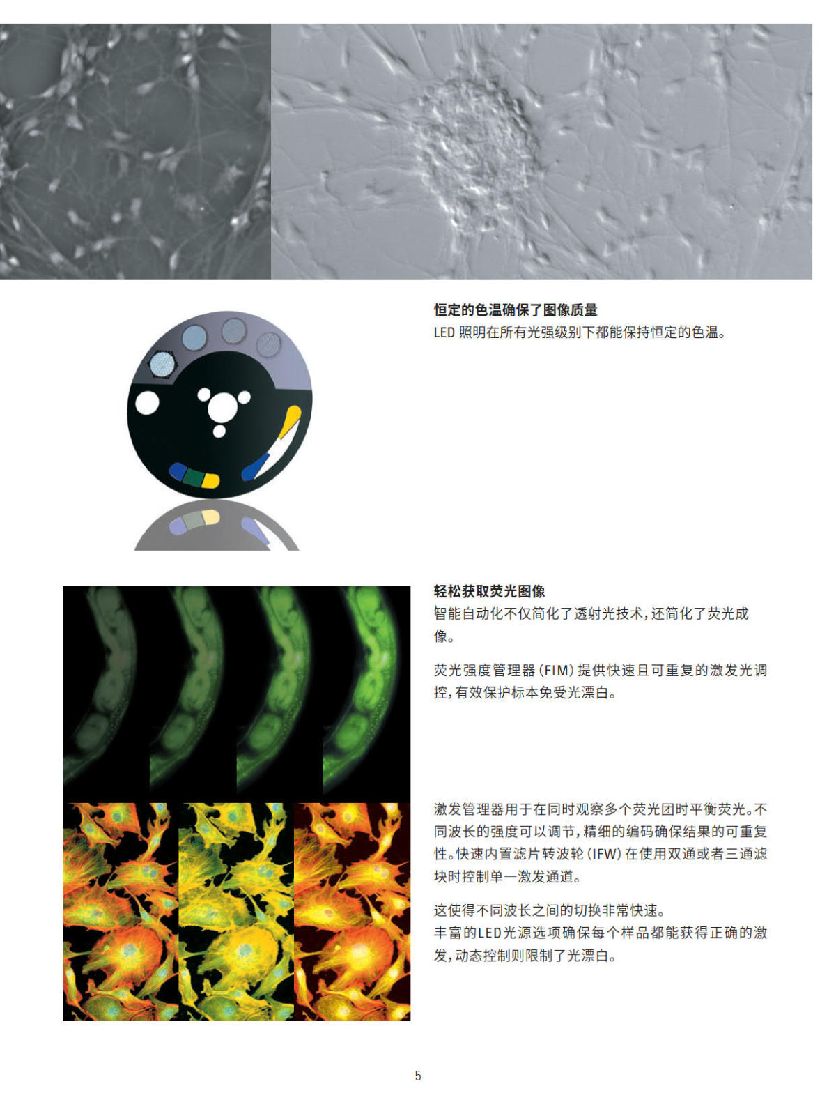 徕卡正置电动荧光显微镜 DM4B DM6B系列