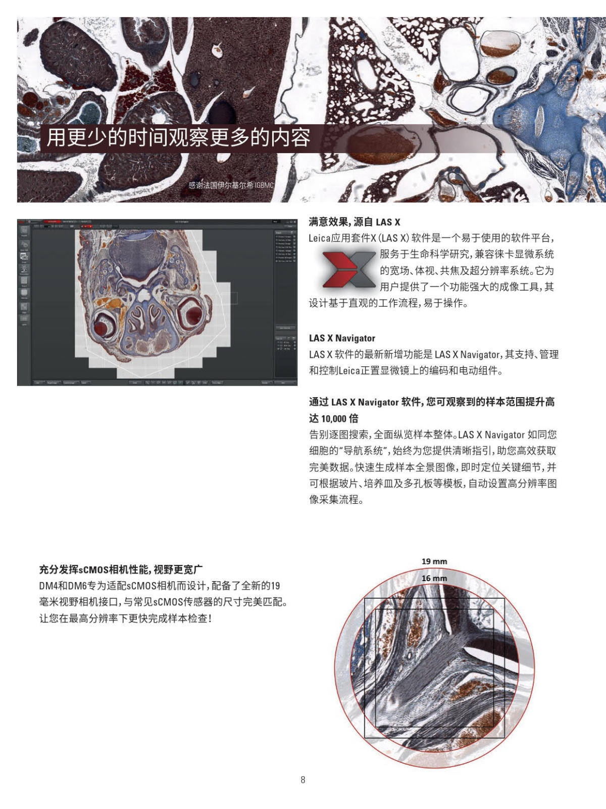 徕卡正置电动荧光显微镜 DM4B DM6B系列
