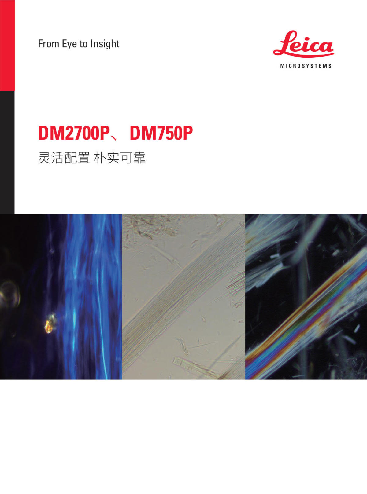 徕卡偏光显微镜 DM2700P DM750P