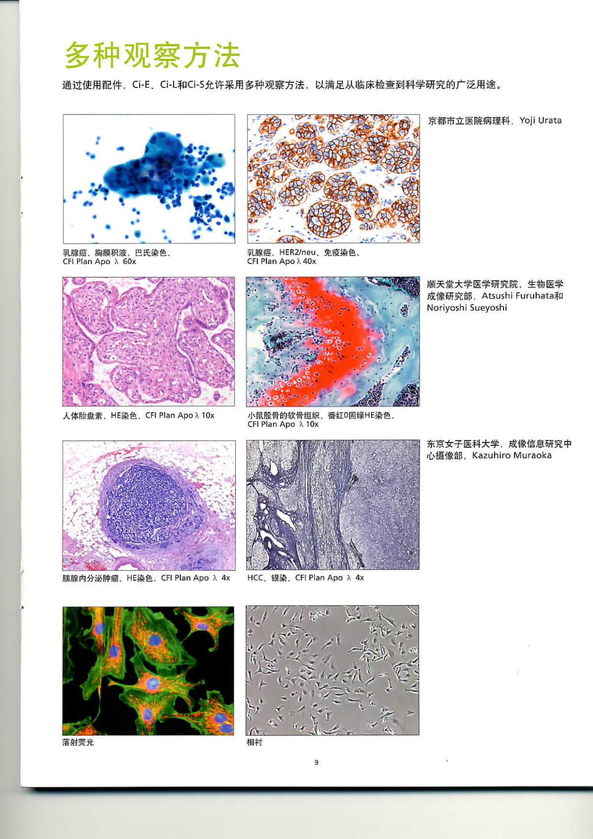 尼康生物显微镜 CII&NI