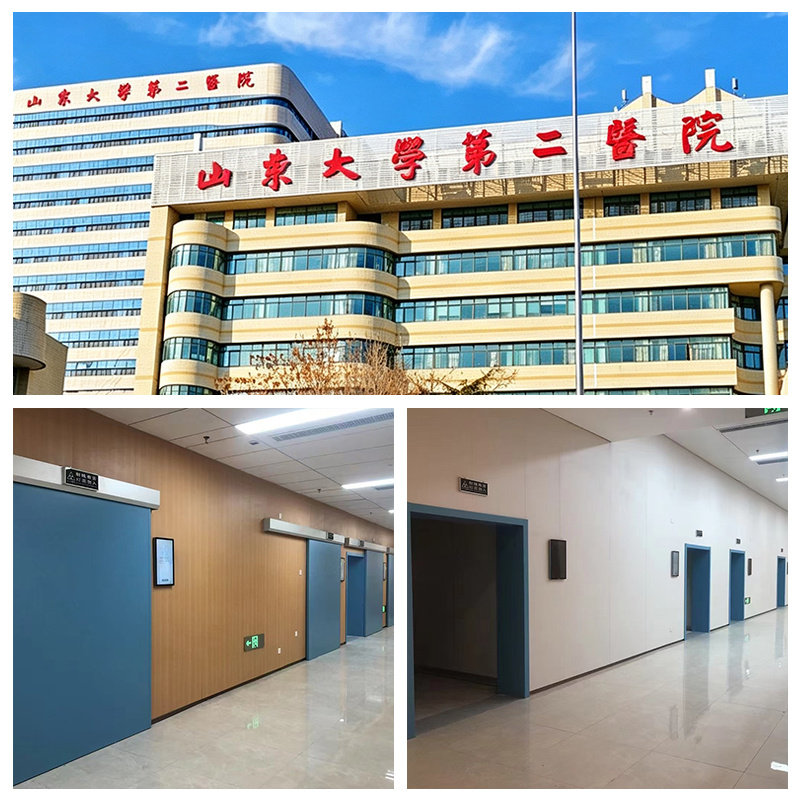 The Second Hospital of Shandong University