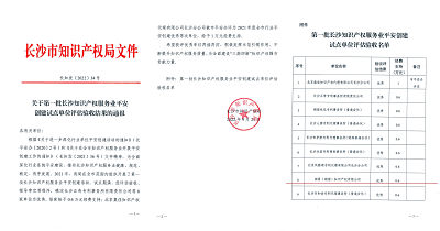 长沙市知识产权行业创建优秀单位.jpg