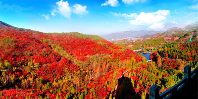 红叶谷生态文化旅游区