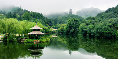 雨后红叶谷