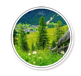 对建设项目的环境影响分析、预测、评估，提出预防和减轻不良环境影响的污染防治措施和对策 