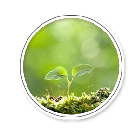 把脉问诊企业环境问题、全过程评估、系统解决方案、解决环境问题 