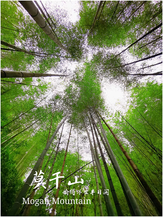 20200610102424378.png