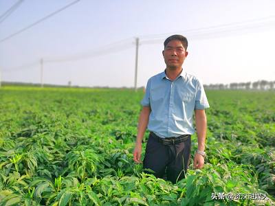 微信图片_20220829102615.jpg