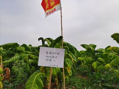微信图片_20220829103659.jpg