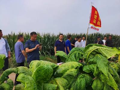 微信图片_20220829103709.jpg