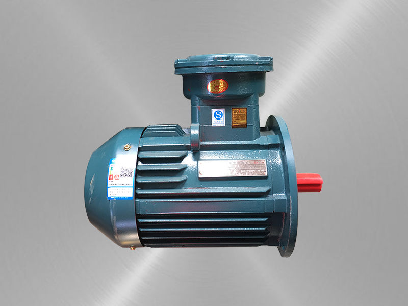 立式隔爆型三相異步電動(dòng)機(jī)