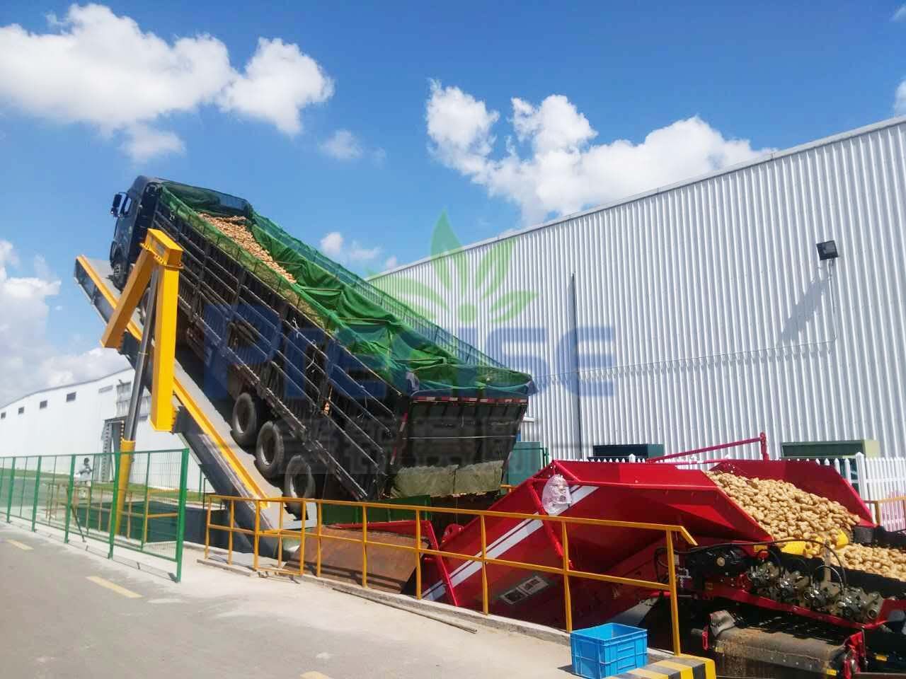 加拿大麦肯（马铃薯）