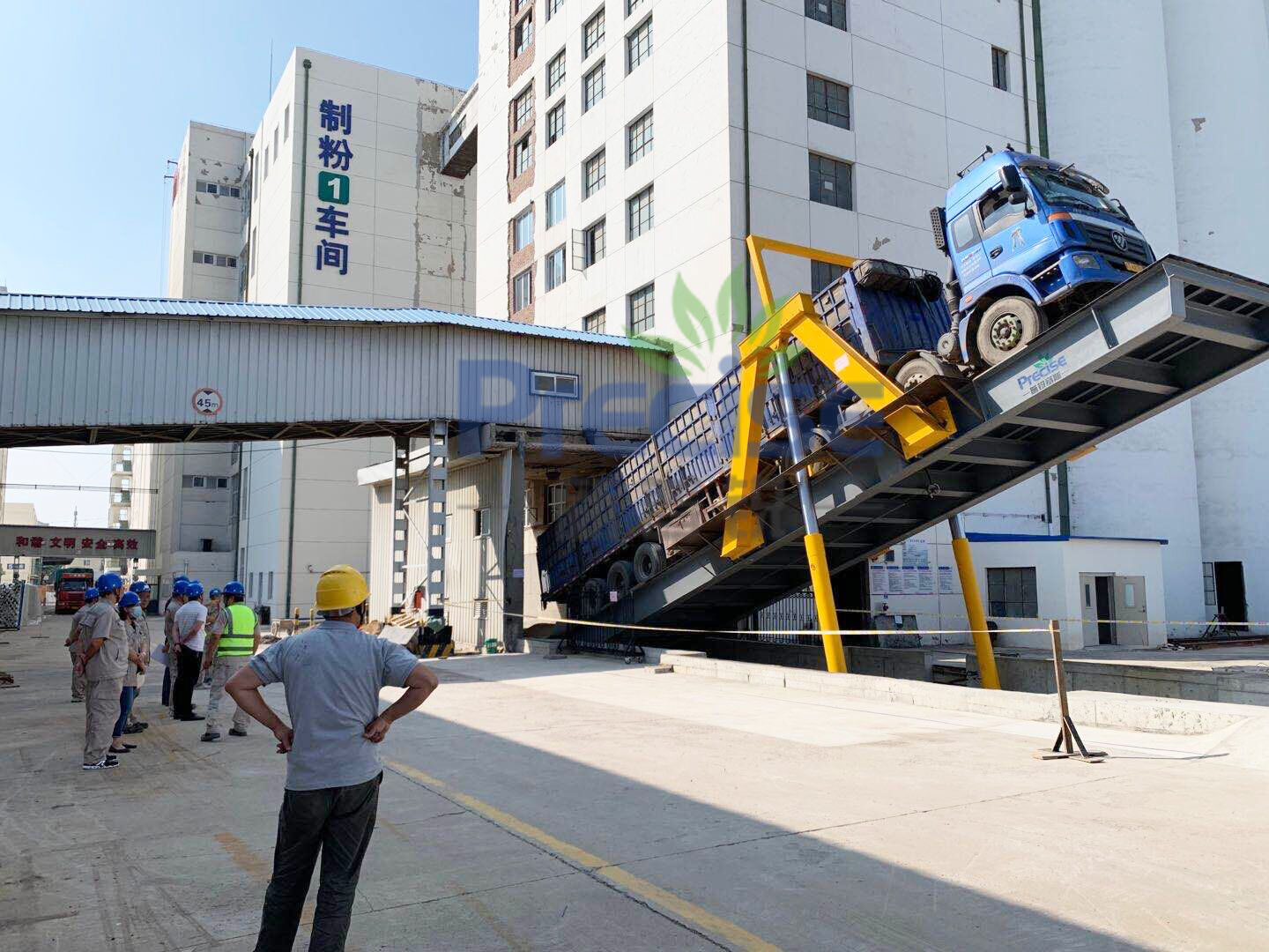 中粮天津（面粉）