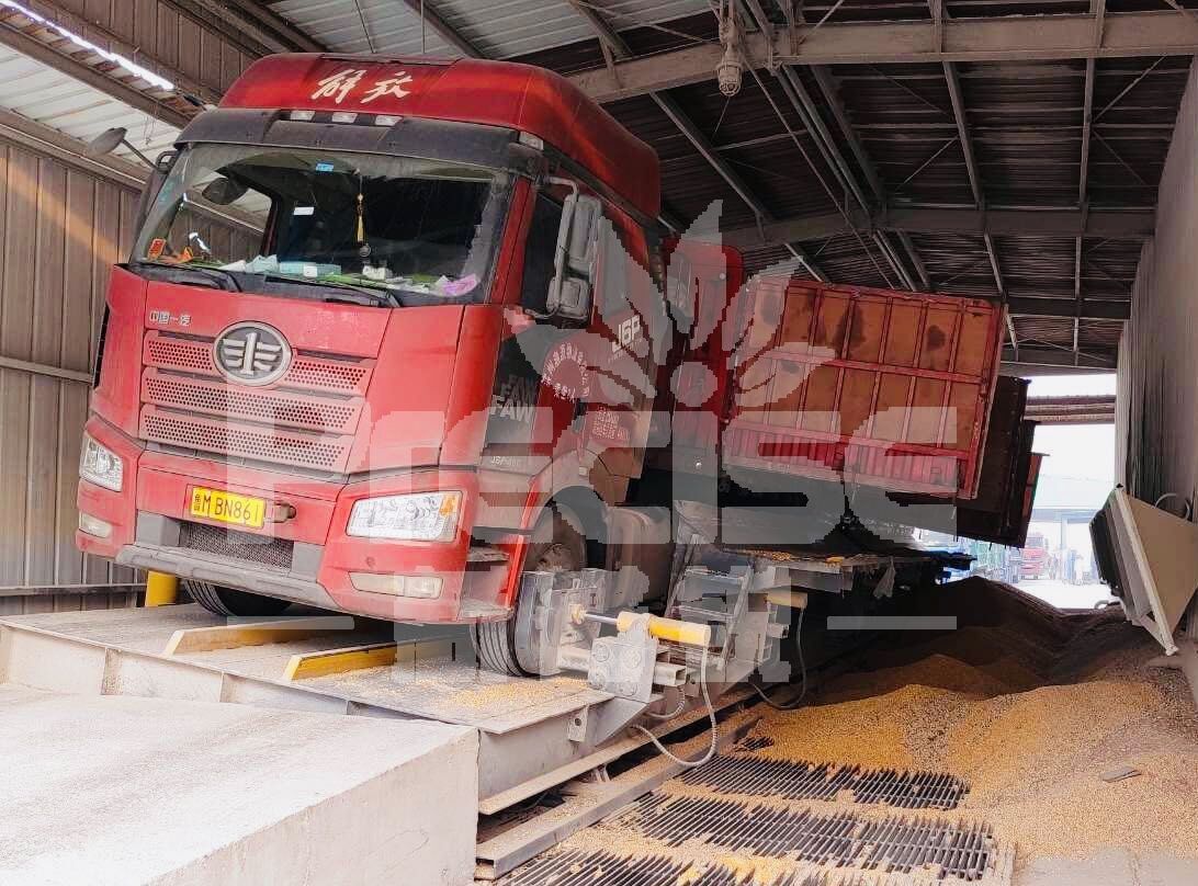 山东香驰控股（玉米）