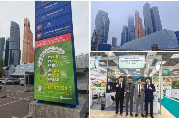 QQ20241107-135519.png QQ20241107-135519.png