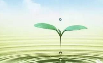 球阀使用后应该如何维护