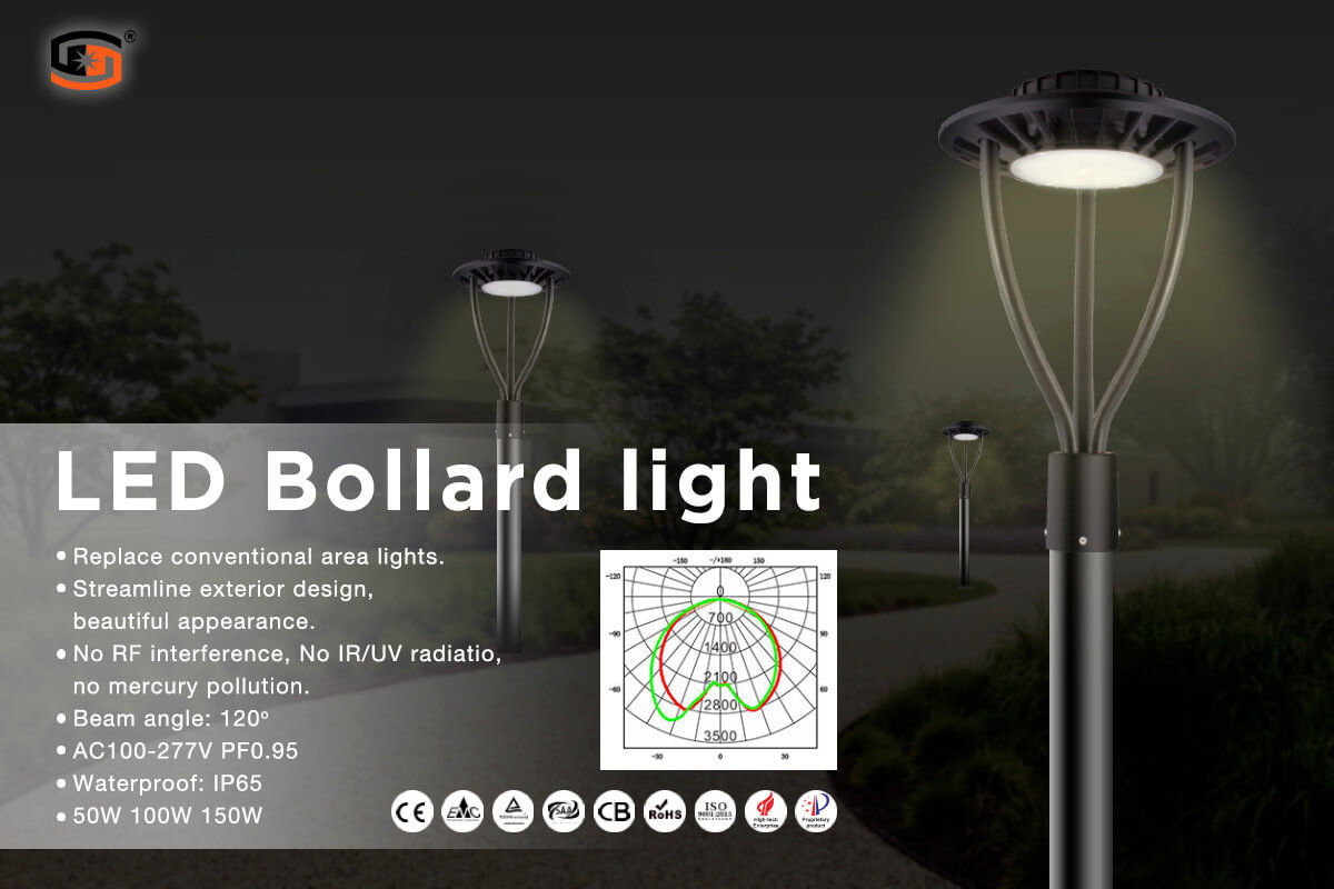 202006085edde277e9e74.jpg