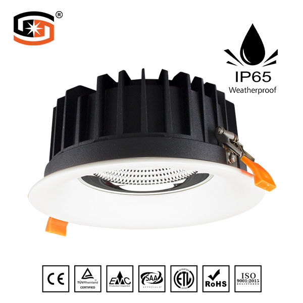 2018 NEW LED down light COB D series