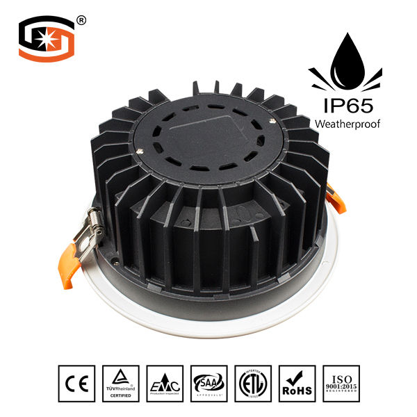 2018 NEW LED down light COB D series