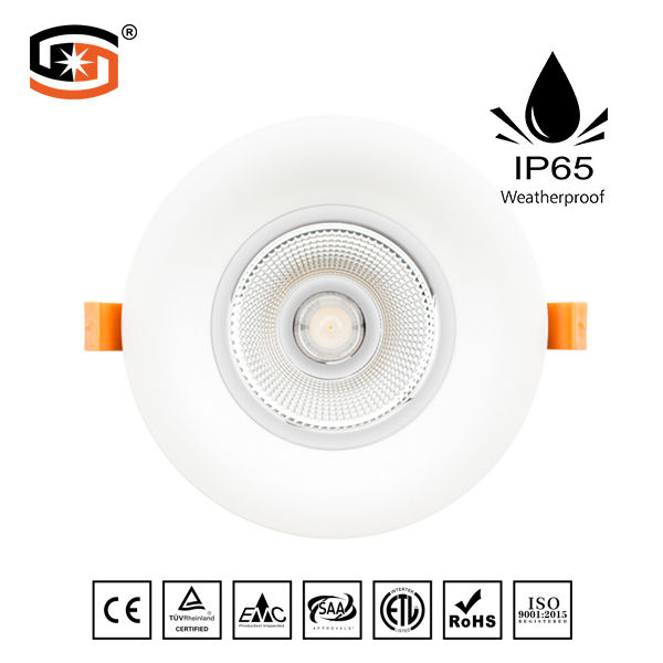 2018 NEW LED down light COB D series