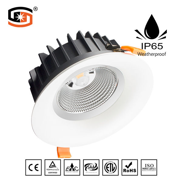 2018 NEW LED down light COB D series