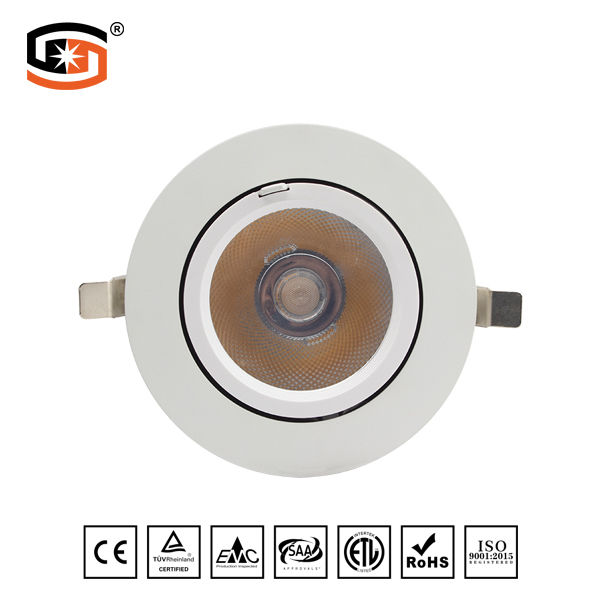 Adjustable Round Recessed LED DWON LIGHT