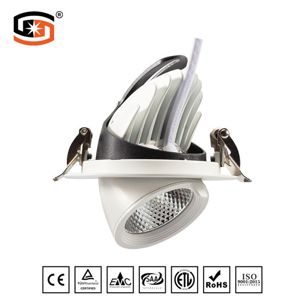 Adjustable Round Recessed LED DWON LIGHT