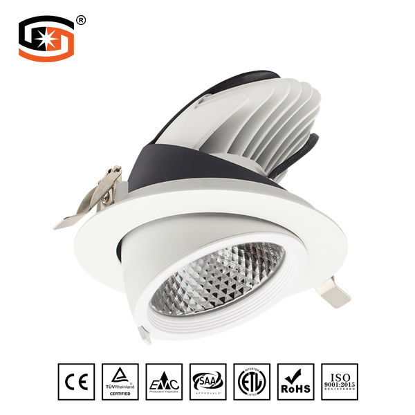 Adjustable Round Recessed LED DWON LIGHT