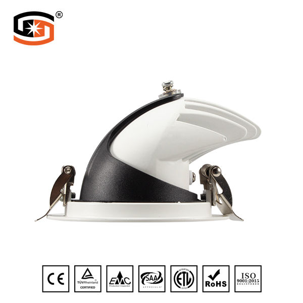 Adjustable Round Recessed LED DWON LIGHT