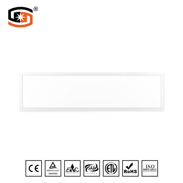 300x900mm LED panel light Square surface mounted