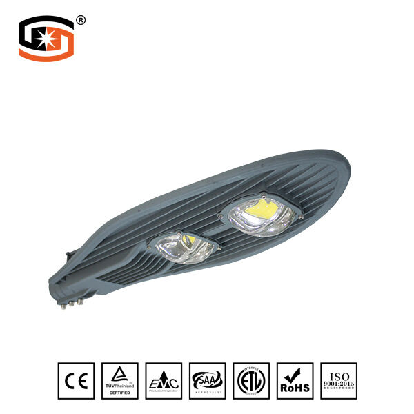 LED STREET LIGHT COB Sword Series 100W