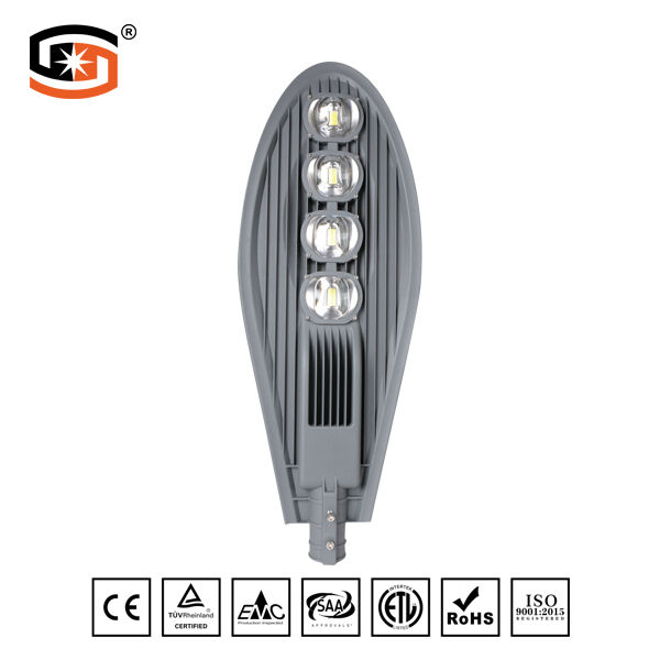 LED STREET LIGHT COB Sword Series 200W