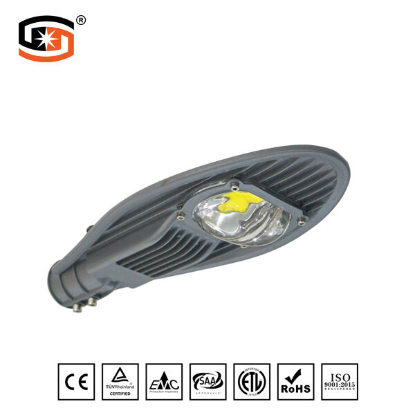 LED STREET LIGHT COB Sword Series 30W