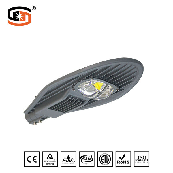 LED STREET LIGHT COB Sword Series 50W