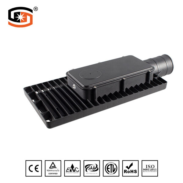 Philips with the same paragraph 30W LED street light