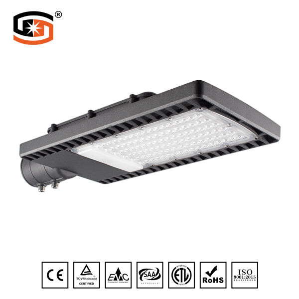 Philips with the same paragraph 20W LED street light