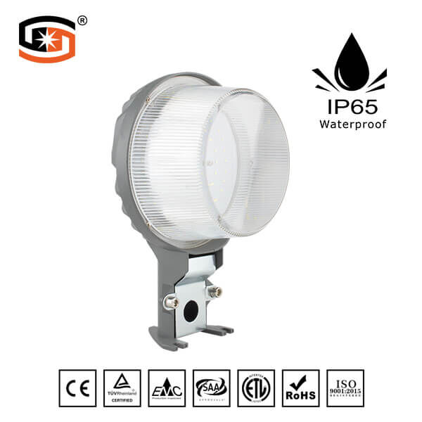 Independent Development of mold LED wall light IP65