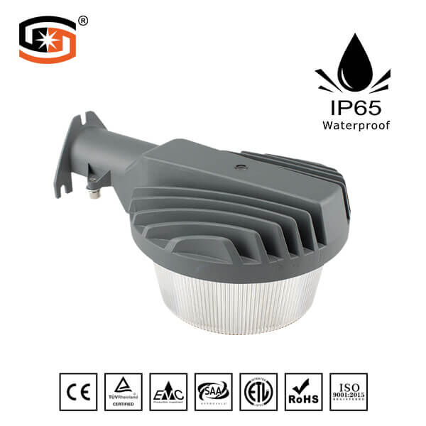 Independent Development of mold LED wall light IP65