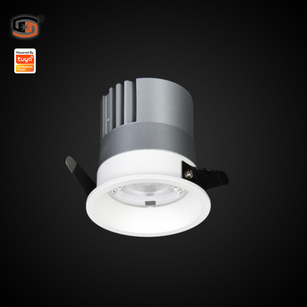 TUYA CCT+DIM downlight