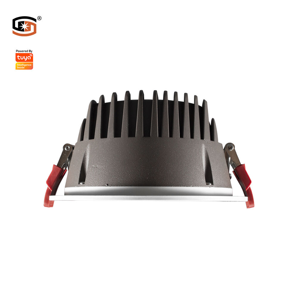 SMART Tuya LED down light CCT+DIM