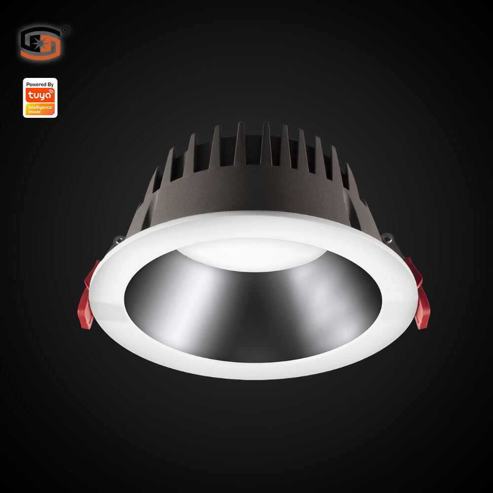 SMART Tuya LED down light CCT+DIM