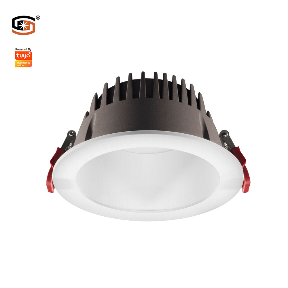 SMART Tuya LED down light CCT+DIM