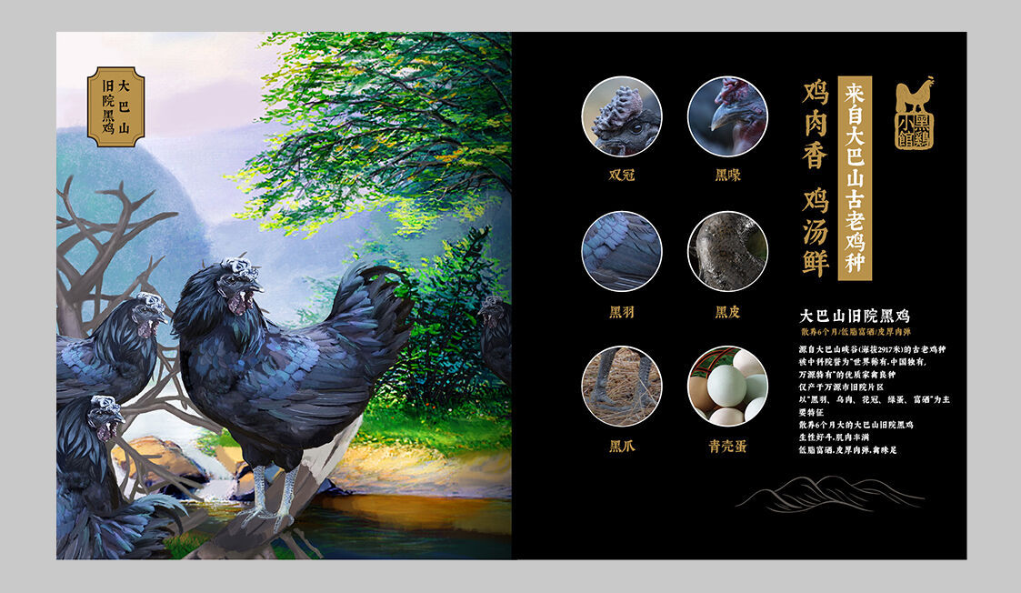 黑鸡小馆7.jpg