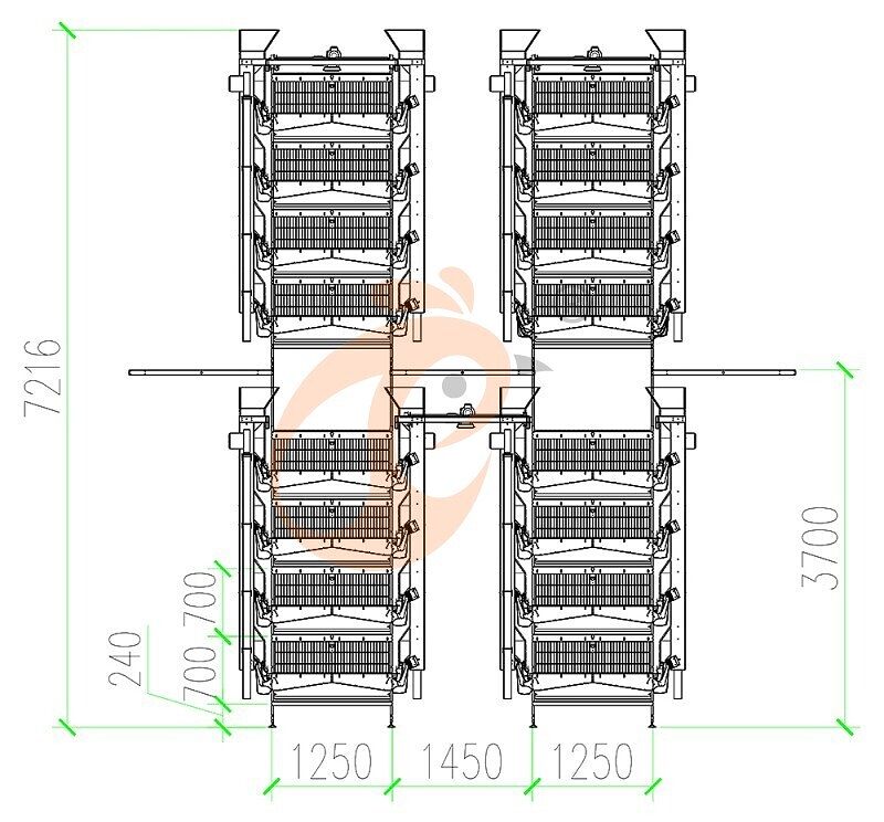 101520 layer, layer chicken cage layout (1)(1).jpg