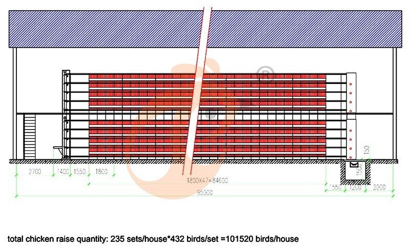 101520 layer, layer chicken cage layout (1).jpg