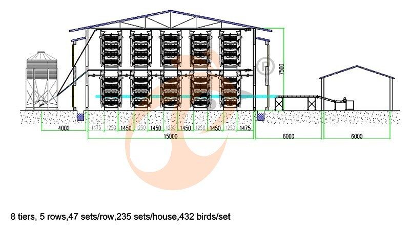 101520 layer, layer chicken cage layout (2).jpg
