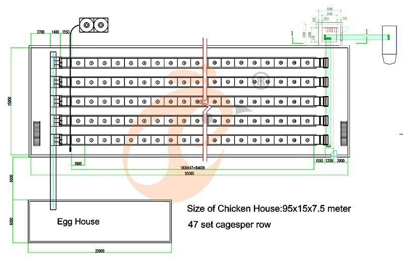 101520 layer, layer chicken cage layout (3).jpg