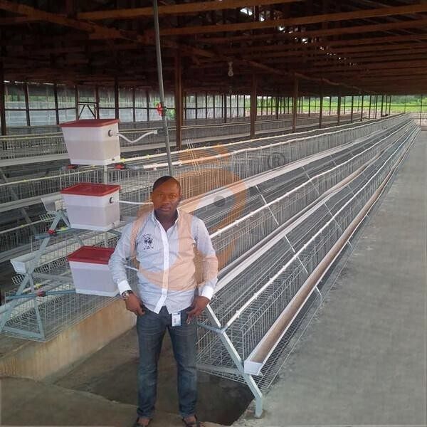poultry farm layer chicken cage (1).jpg